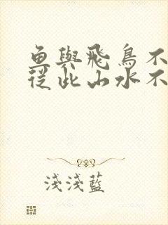 鱼与飞鸟不同路从此山水不相逢封面