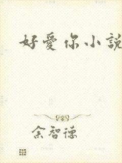 好爱你小说