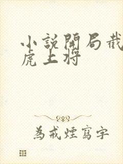 小说开局截胡五虎上将封面