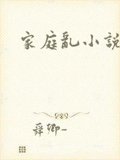 家庭乱小说封面