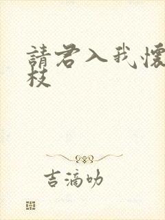 请君入我怀宋瑶枝