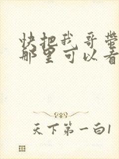 快把我哥带走在那里可以看