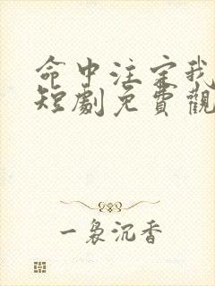 命中注定我爱你短剧免费观看全集高清