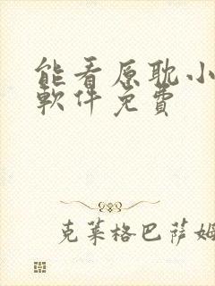 能看原耽小说的软件免费