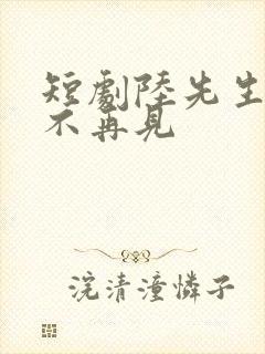 短剧陆先生余生不再见