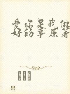 爱你是我做过最好的事原著