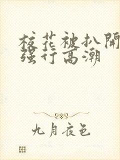 校花被扒开双腿强行高潮