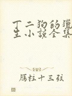丁二狗的猎艳人生小说全集免费阅读无删减