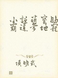 小说萌宝助攻:霸道爹地宠又撩