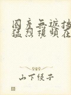 国产无遮挡免费猛烈视频在线观看封面