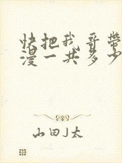 快把我哥带走动漫一共多少集封面