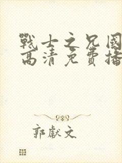 战士之兄国语版高清免费播放