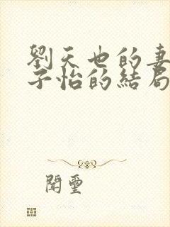 刘天也的妻子赵子怡的结局