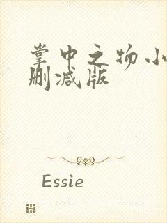 掌中之物小说未删减版