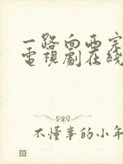 一路向西完整版电视剧在线播放