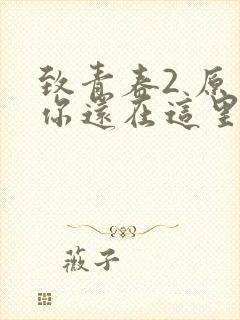 致青春2 原来你还在这里
