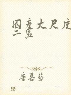 国产大尺度一区二区