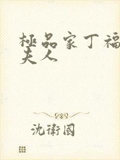 极品家丁福伯萧夫人封面