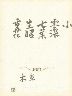 重生七零小军嫂花昭叶深