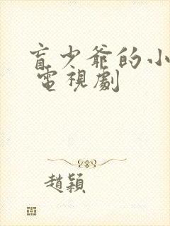 盲少爷的小女仆 电视剧