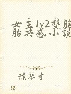 女主1v2双胞胎共感小说封面