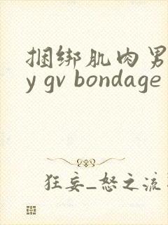 捆绑肌肉男gay gv bondage封面