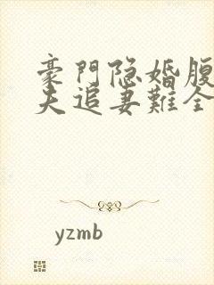 豪门隐婚腹黑前夫追妻难全文免费阅读封面