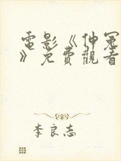 电影《伸冤人4》免费观看全集封面