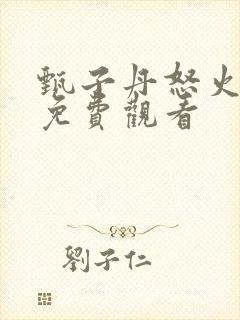 甄子丹怒火重案免费观看