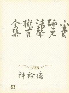 全职法师小说全集有声免费听