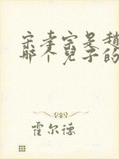 宋孝宗是赵匡胤哪个儿子的后代