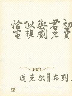 恰似与君初相识电视剧免费观看封面