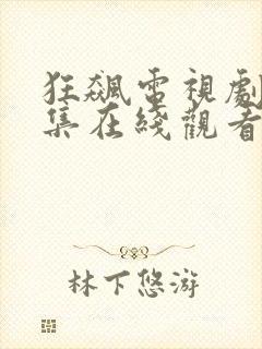 狂飙电视剧40集在线观看免费高