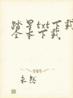踏星txt下载全本下载封面