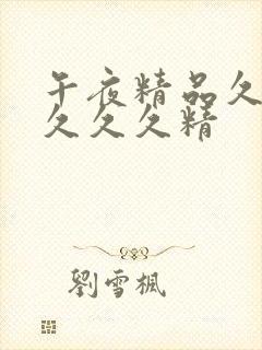 午夜精品久久久久久久精封面