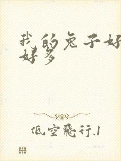 我的兔子好软水好多