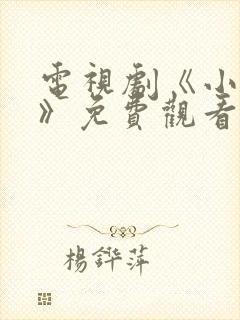 电视剧《小敏家》免费观看