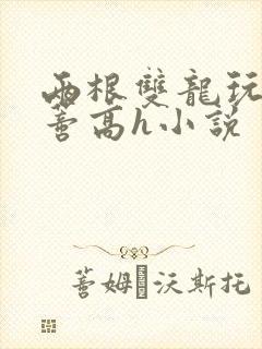 两根双龙玩弄花蒂高h小说