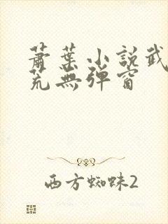 萧叶小说武破九荒无弹窗