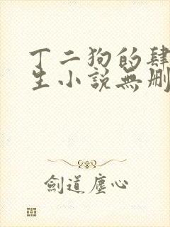 丁二狗的肆意人生小说无删减txt