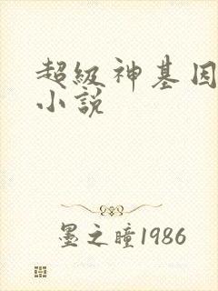 超级神基因正版小说封面