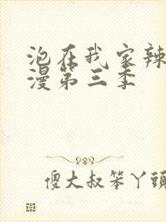 泡在我家辣妹动漫第三季封面