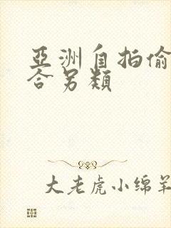 亚洲自拍偷拍综合另类