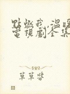 点燃我,温暖你电视剧全集免费观看更新封面