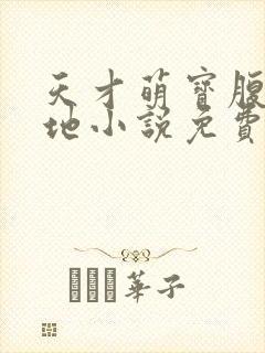 天才萌宝腹黑爹地小说免费封面