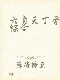 六月天丁香婷婷综合封面