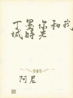 丁墨你和我的倾城时光