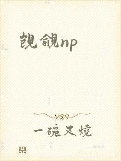 觊觎np