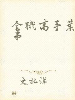 全职高手叶修弟弟