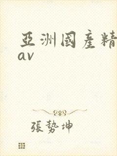 亚洲国产精品精av